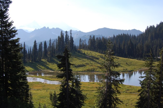 Mt. Rainier National Park
