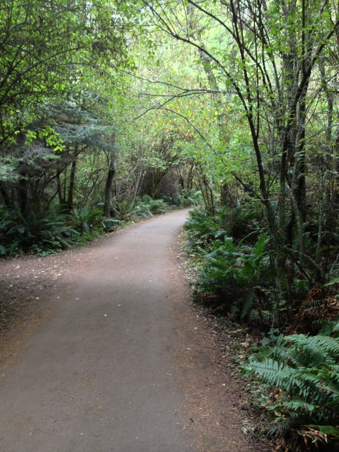 Main Trail