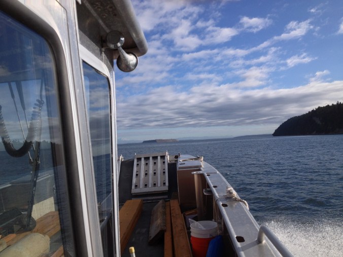 Protection Island, Washington