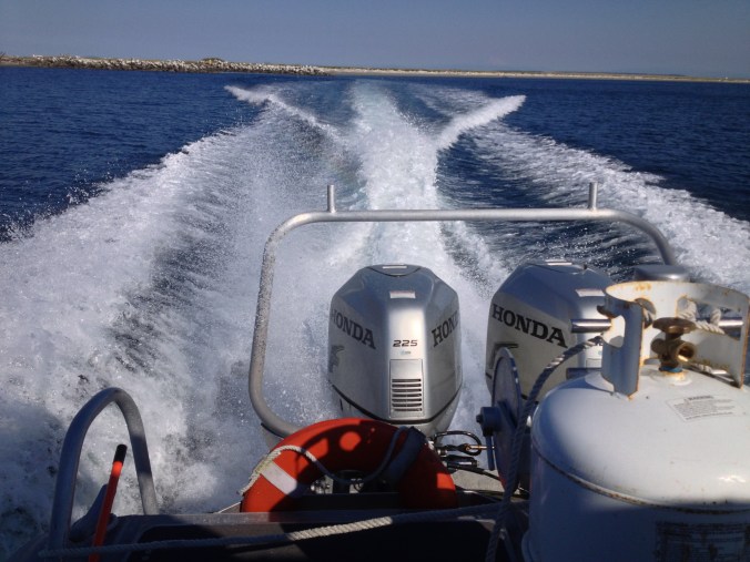 450 HP of wave-making fury