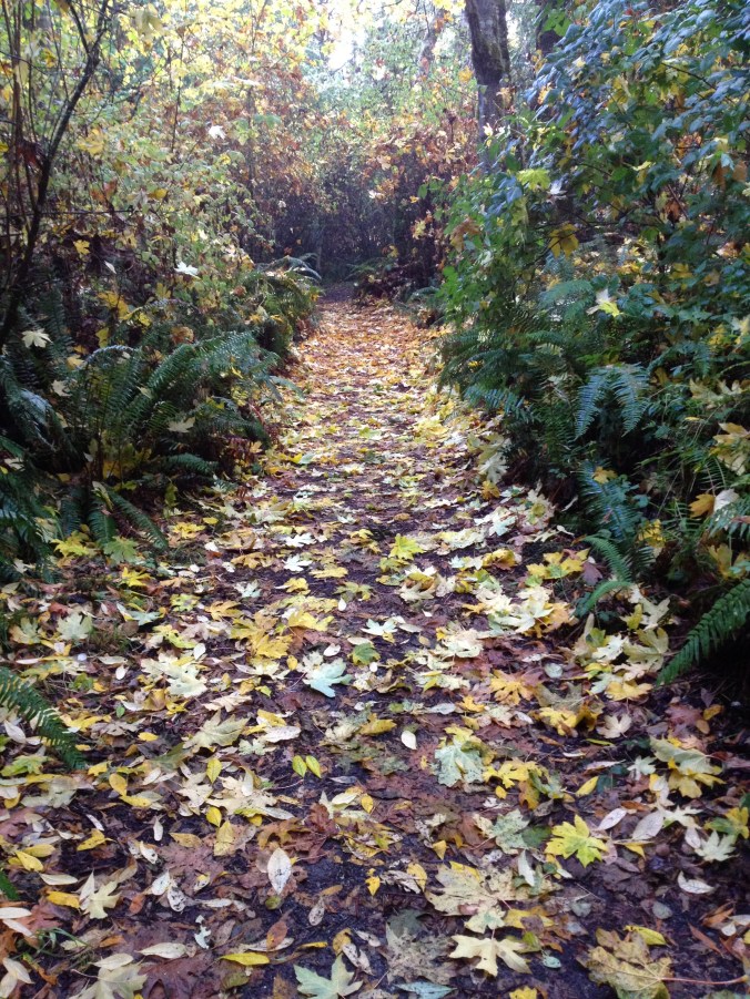 During this morning's rounds... During this morning's rounds...