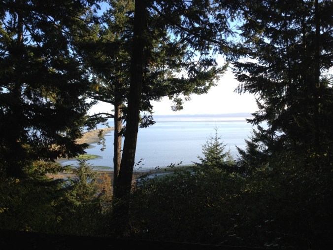 The Spit during this morning's rounds... The Spit during this morning's rounds...