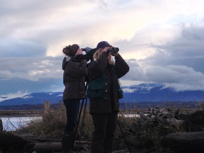 WARNING!!! SCIENCE IN PROGRESS!!