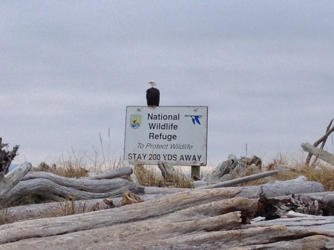 I guess he Is trying to prove a point