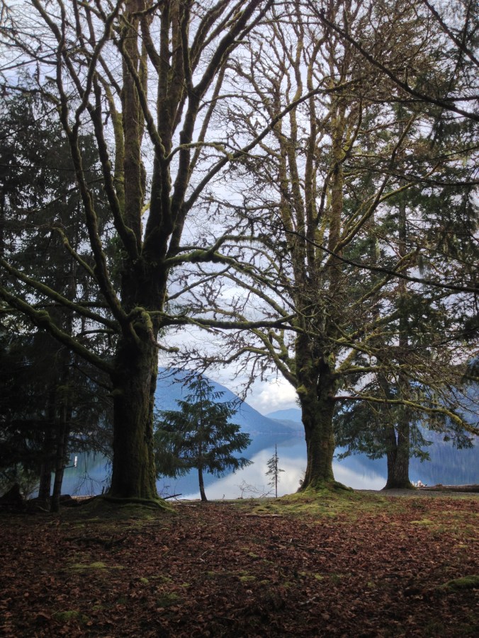 Lake Crescent - along US 101 in Washington