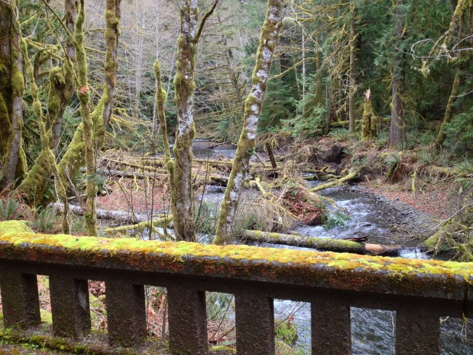 Stream and bridge along Lake Crescent - along US 101 in Washington