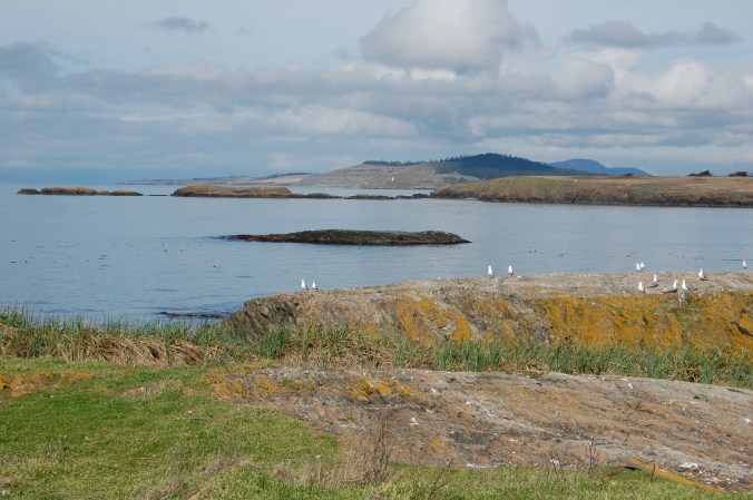 This is a view looking NW from Hall Island in the San Juan Islands National Wildlife Refuge.