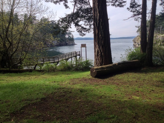 Campsite View of the Cove at Matia Island - San Juan Islands, NWR, Washington