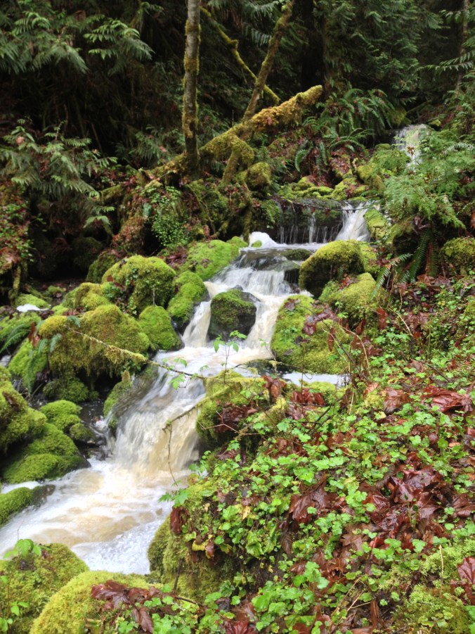Another Picture of the Waterfall