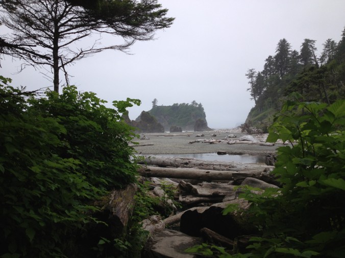 Ruby Beach, Olympic National Park - Washington