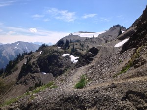 Olympic National Park