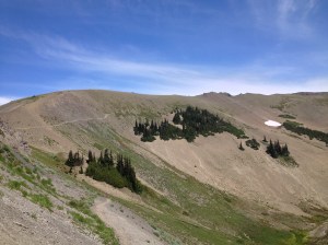 Olympic National Park