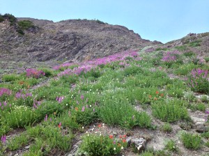 Olympic National Park