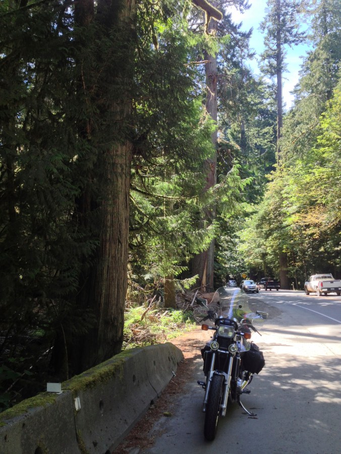 Along Highway 4 near Port Alberni, BC