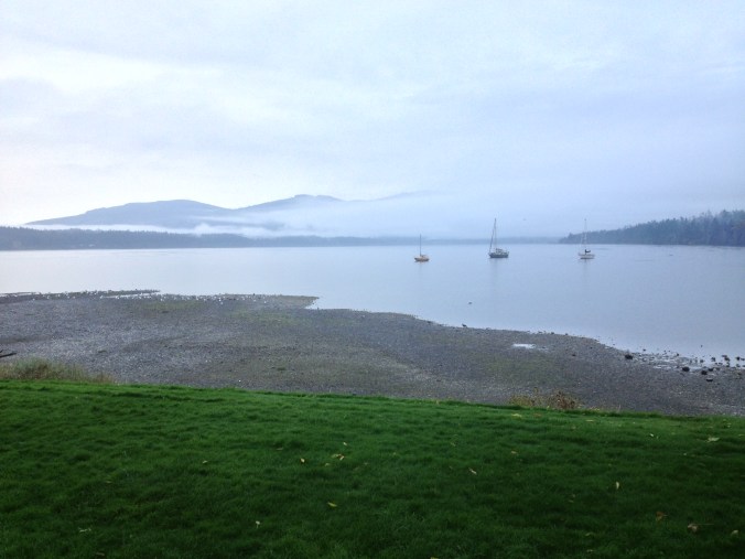 Morning at John Wayne Marina - Sequim, WA