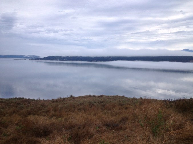 View of the Olympics from Protection Island National Wildlife Refuge - Sequim, WA