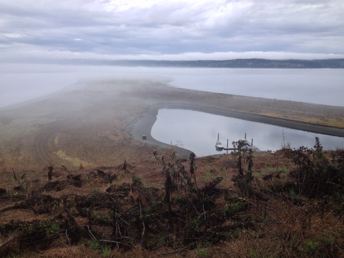 View east from Protection Island National Wildlife Refuge - Sequim, WA