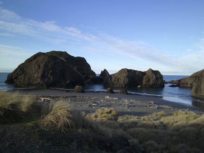 Along the Oregon coast on US 101