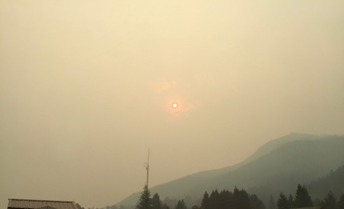 Morning Sun in the Smoke