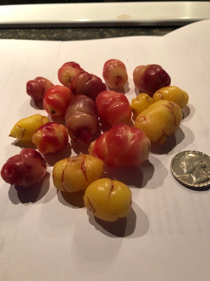 1c9bdd63-e2b7-40d4-a350-3388256bd518-2406-000001d519c7bddc_file